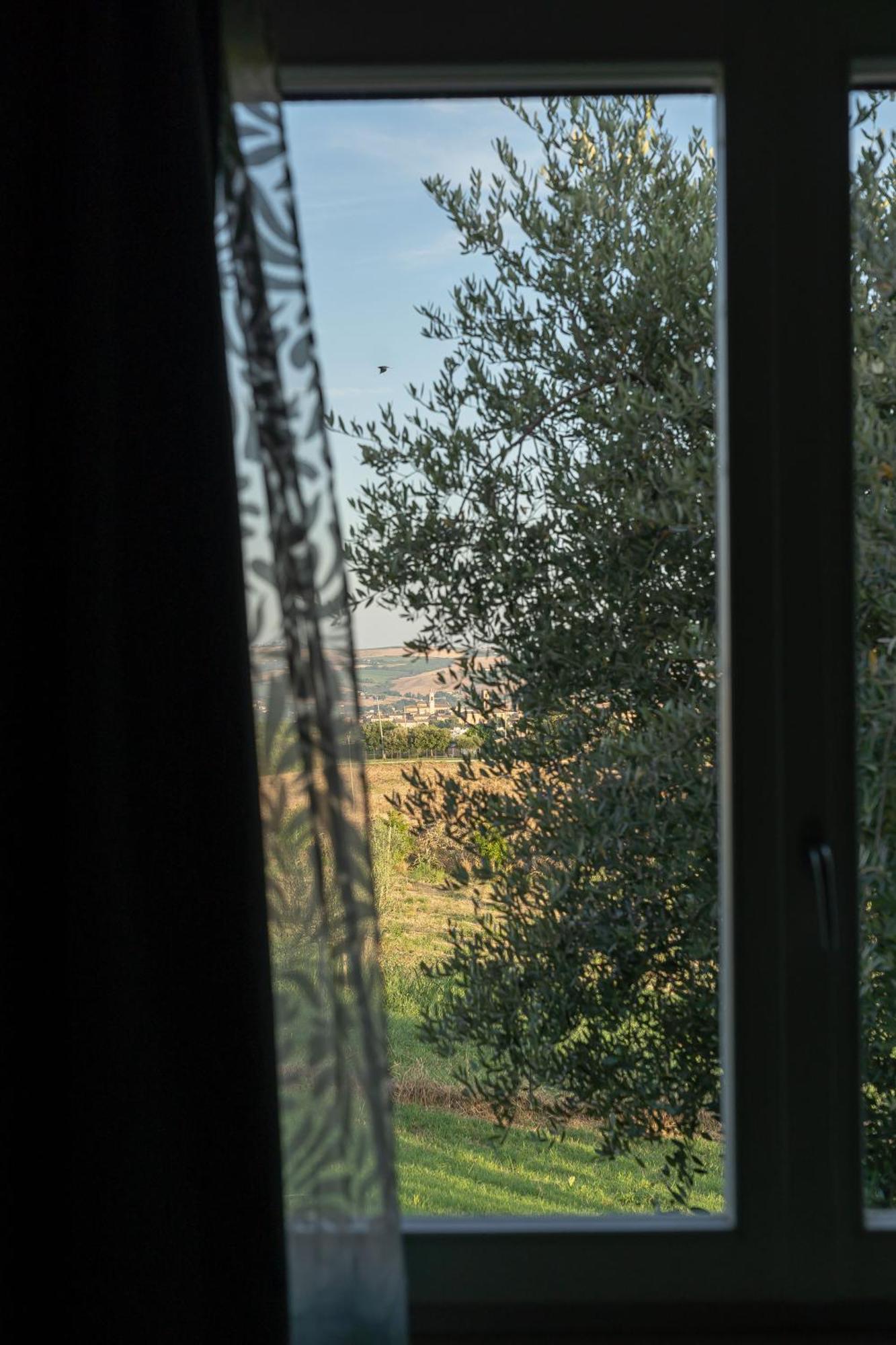 B&B La Figuretta Jesi Kültér fotó